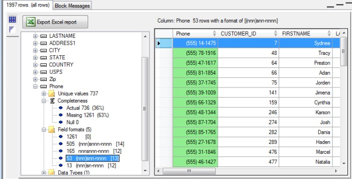 DataProfiler_Close_up_phone_formats (63K)